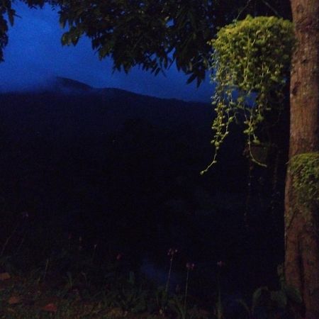 Evergreen Villa - Sinharaja Deniyaya Dış mekan fotoğraf