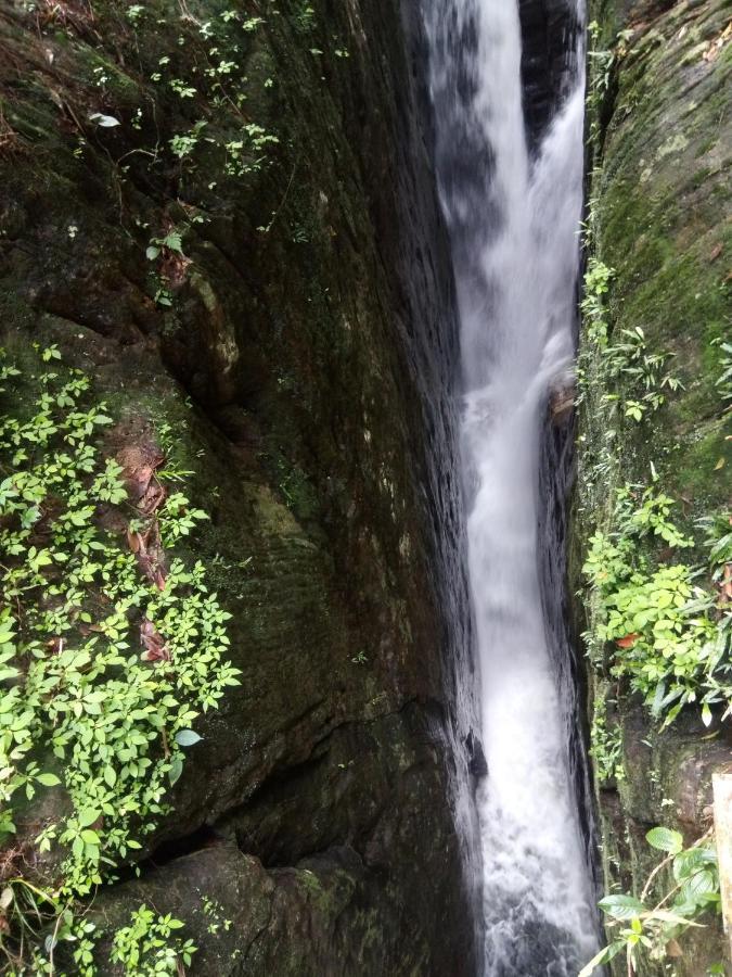 Evergreen Villa - Sinharaja Deniyaya Dış mekan fotoğraf