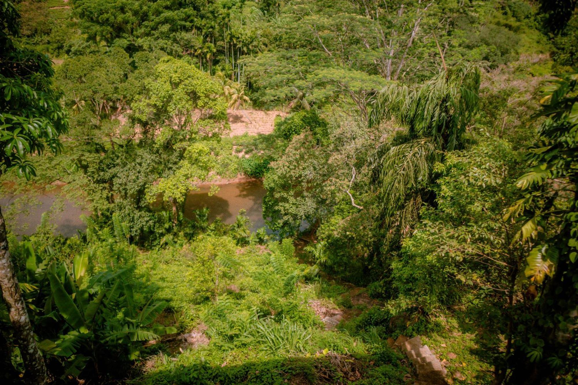 Evergreen Villa - Sinharaja Deniyaya Dış mekan fotoğraf