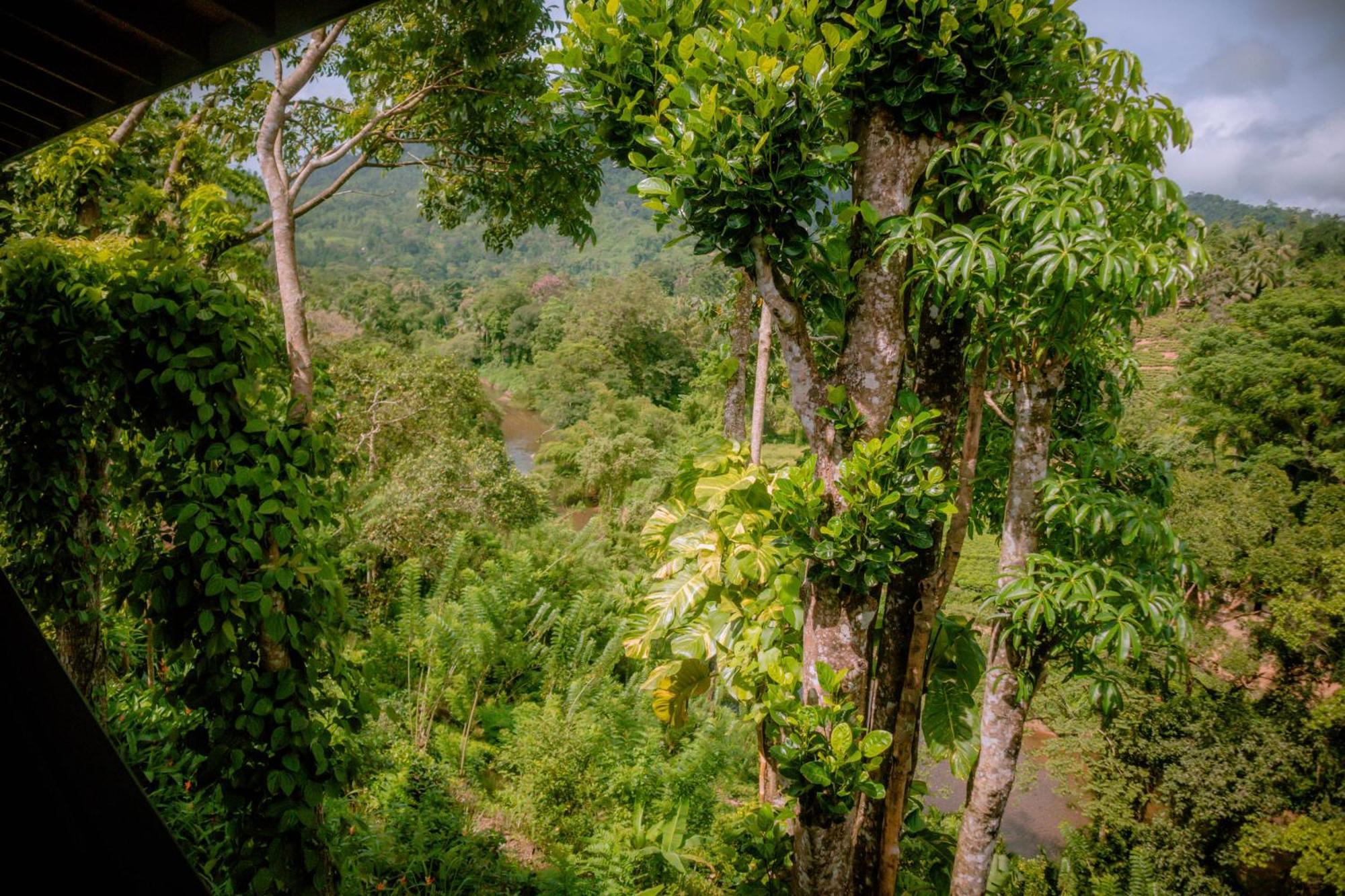 Evergreen Villa - Sinharaja Deniyaya Dış mekan fotoğraf