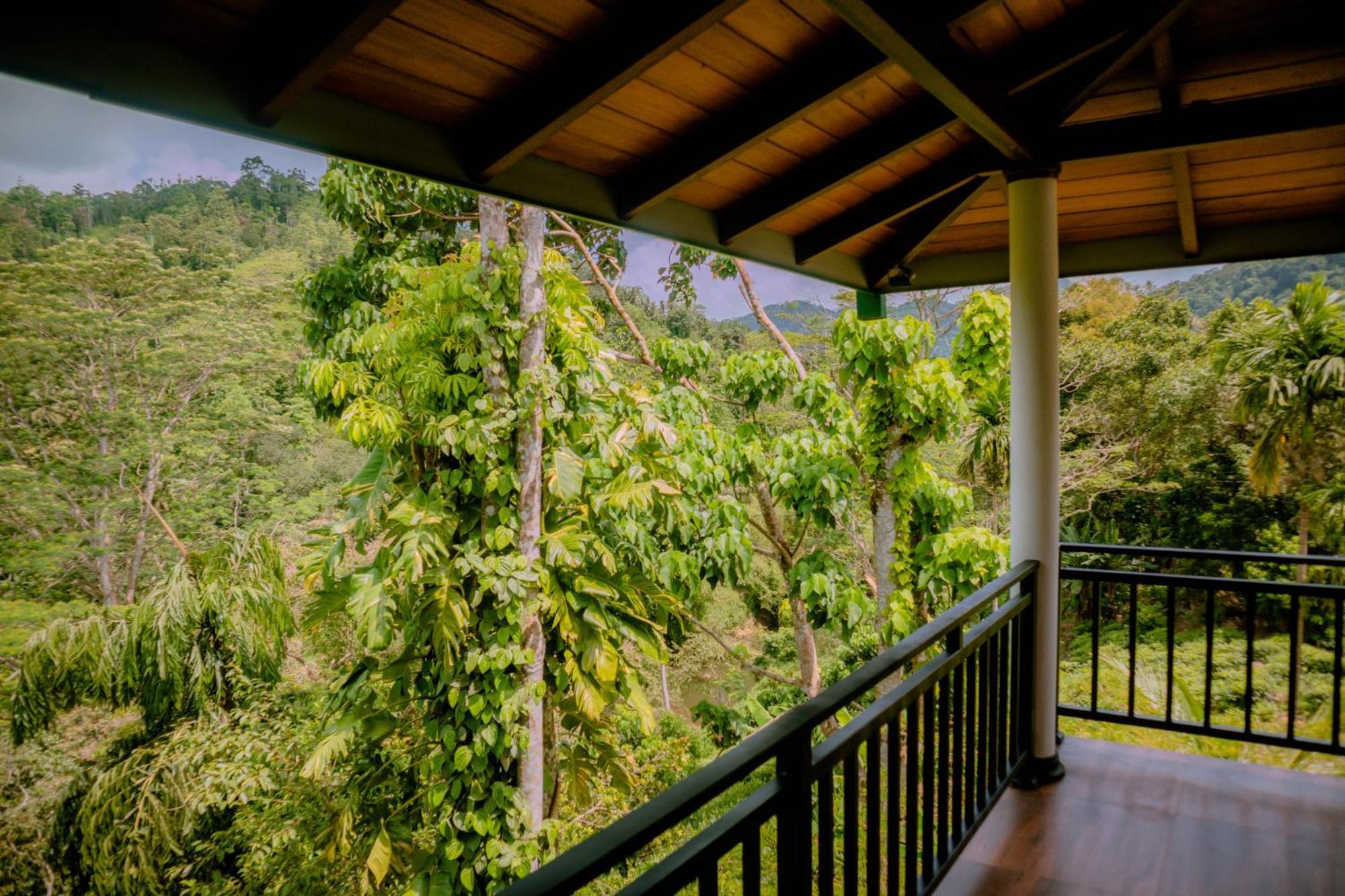 Evergreen Villa - Sinharaja Deniyaya Dış mekan fotoğraf